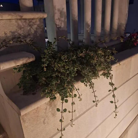 Lavandula - Swimming Pool View Trogir