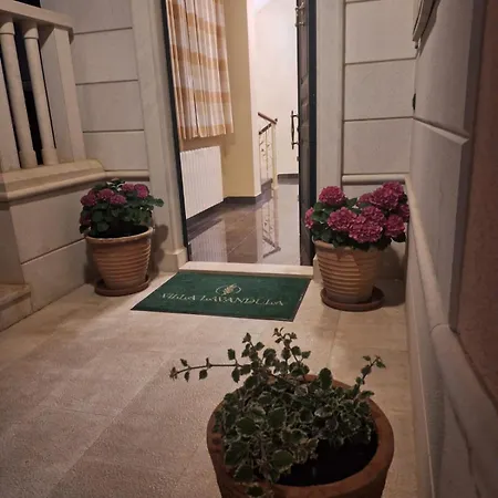 بيت ضيافة Lavandula - Swimming Pool View 4*