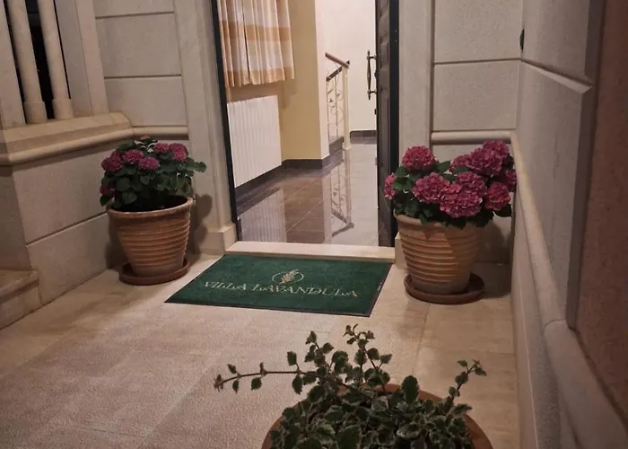 Pensionat Apartment Villa Lavandula - Swimming Pool View 4*