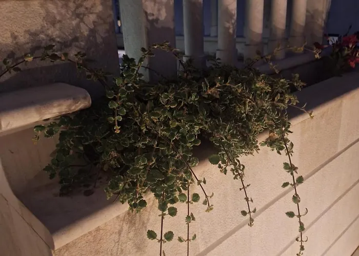 Lavandula - Swimming Pool View Trogir